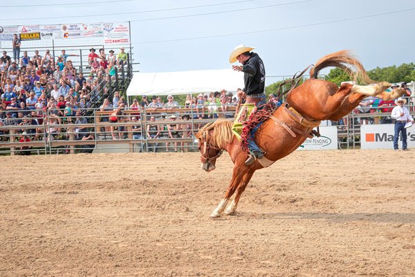 Le Sumo pour les enfants : Initiation et bienfaits
